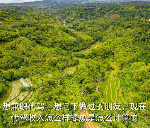 想兼職代駕，想問下做過的朋友，現在代駕收入怎么樣提成是怎么計算的