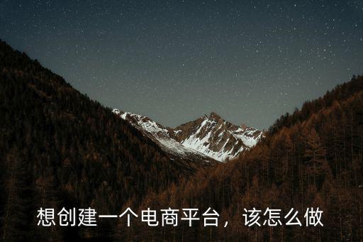 想創(chuàng)建一個(gè)電商平臺(tái)，該怎么做