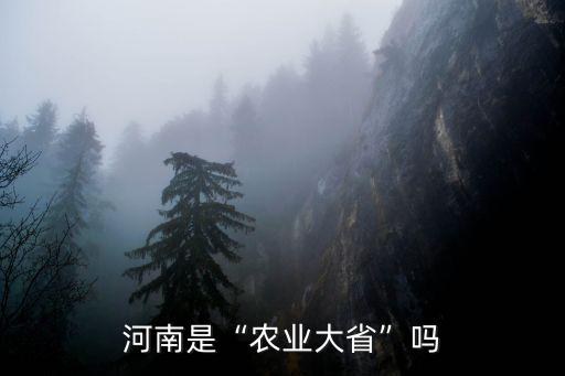 河南是“農業大省”嗎