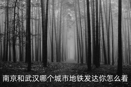 老外怎么看武漢的地鐵,外國網友是怎么評論武漢的