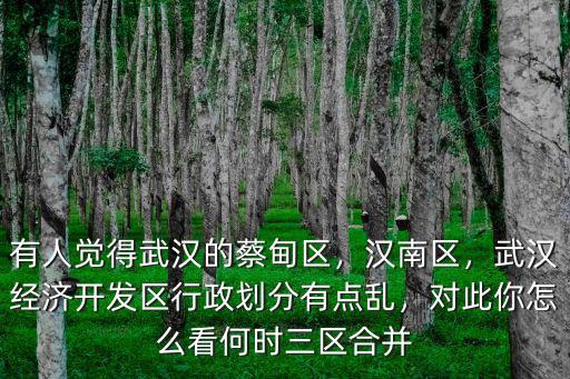 有人覺得武漢的蔡甸區(qū)，漢南區(qū)，武漢經(jīng)濟(jì)開發(fā)區(qū)行政劃分有點(diǎn)亂，對(duì)此你怎么看何時(shí)三區(qū)合并