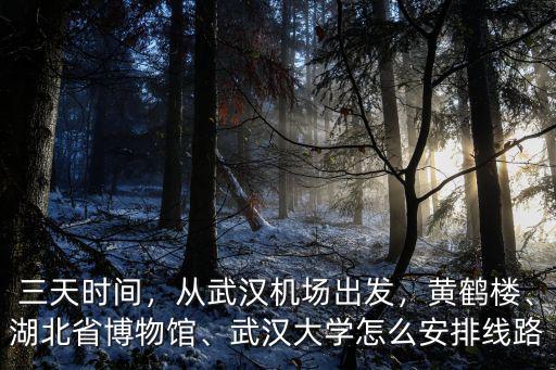三天時間，從武漢機場出發(fā)，黃鶴樓、湖北省博物館、武漢大學怎么安排線路