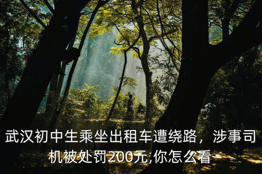 武漢司機繞路怎么處理,網約車司機故意繞路怎么解決
