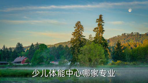 武漢開始體能兒童運(yùn)動(dòng)中心怎么樣,有什么適合兒童的體能運(yùn)動(dòng)么