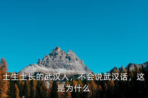 土生土長的武漢人，不會說武漢話，這是為什么