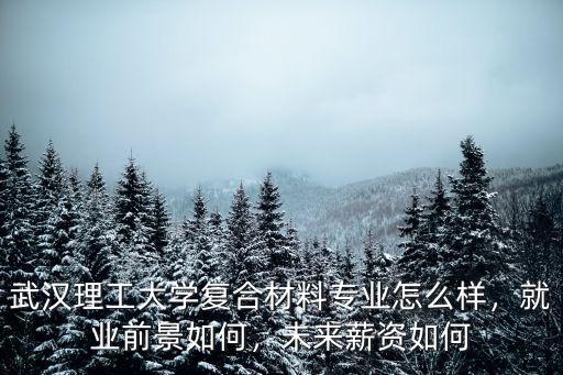 武漢理工大學(xué)復(fù)合材料專業(yè)怎么樣，就業(yè)前景如何，未來薪資如何