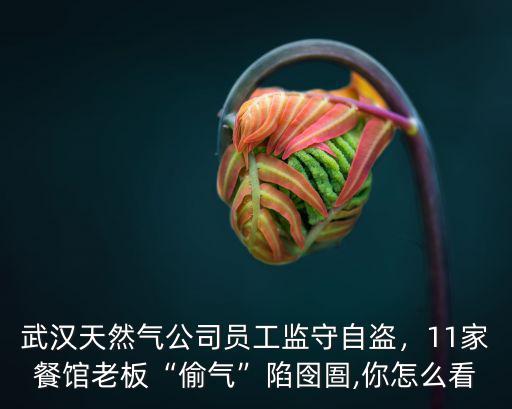 武漢天然氣公司怎么樣,武漢天然氣公司員工監(jiān)守自盜