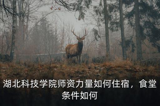 湖北科技學院師資力量如何住宿，食堂條件如何