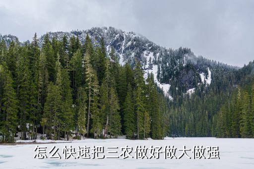 怎么快速把三農做好做大做強