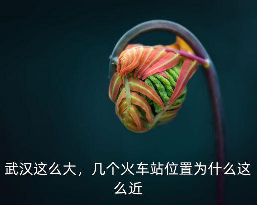 武漢這么大，幾個火車站位置為什么這么近