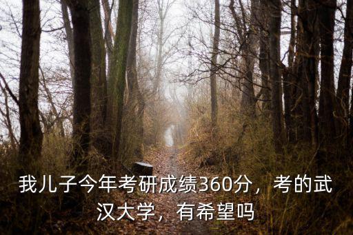我兒子今年考研成績360分，考的武漢大學，有希望嗎