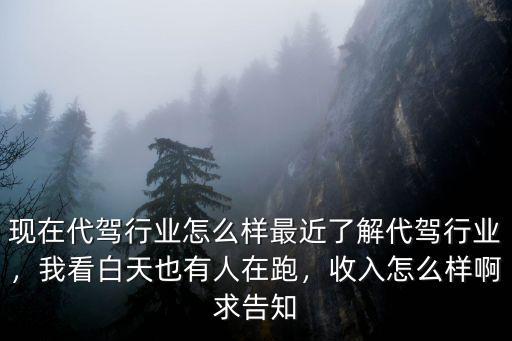 現(xiàn)在代駕行業(yè)怎么樣最近了解代駕行業(yè)，我看白天也有人在跑，收入怎么樣啊求告知