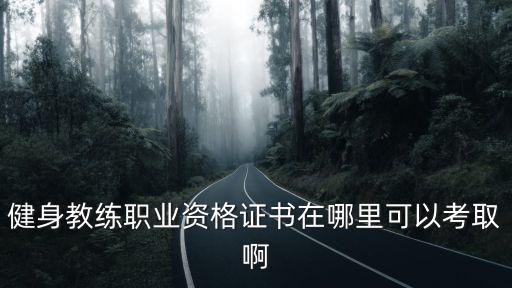 健身教練職業(yè)資格證書在哪里可以考取啊