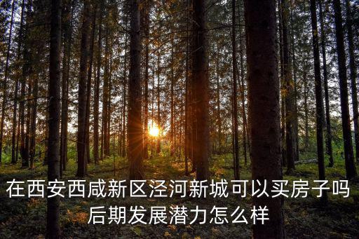 在西安西咸新區涇河新城可以買房子嗎后期發展潛力怎么樣