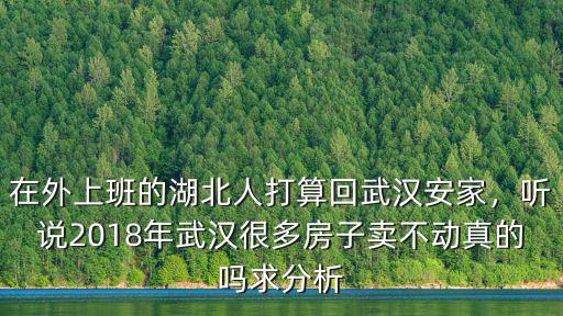 在外上班的湖北人打算回武漢安家，聽說2018年武漢很多房子賣不動(dòng)真的嗎求分析