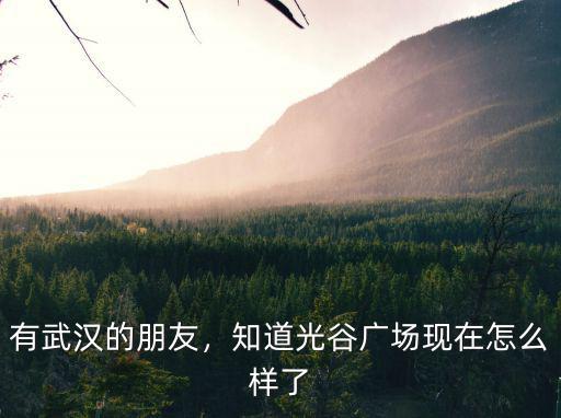 武漢光谷步行街怎么了,知道光谷廣場現在怎么樣了