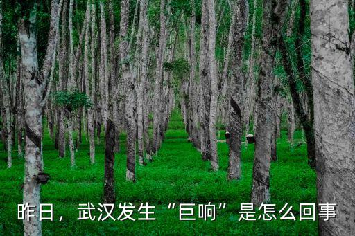 昨日，武漢發生“巨響”是怎么回事
