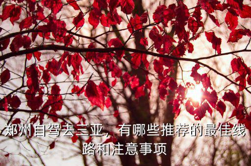 鄭州自駕去三亞，有哪些推薦的最佳線路和注意事項