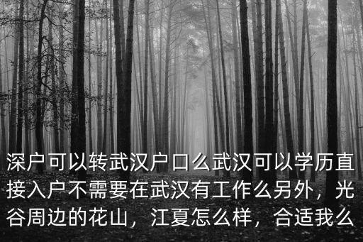 深戶可以轉武漢戶口么武漢可以學歷直接入戶不需要在武漢有工作么另外，光谷周邊的花山，江夏怎么樣，合適我么
