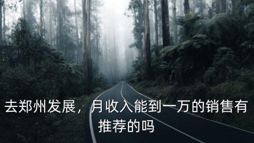 去鄭州發(fā)展，月收入能到一萬的銷售有推薦的嗎