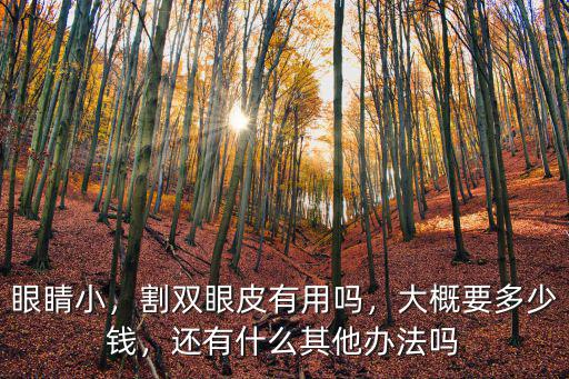 眼睛小，割雙眼皮有用嗎，大概要多少錢，還有什么其他辦法嗎