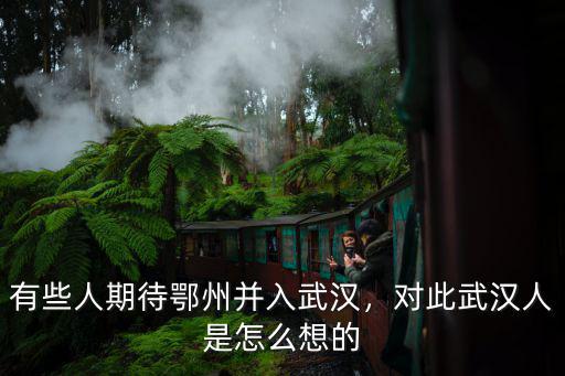 有些人期待鄂州并入武漢，對此武漢人是怎么想的
