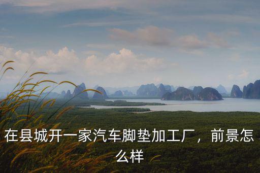 洛陽哪里做汽車腳墊,做全包汽車腳墊好做嗎
