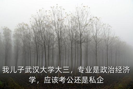 武漢大學(xué)經(jīng)管院大三專業(yè)怎么分,我兒子武漢大學(xué)大三