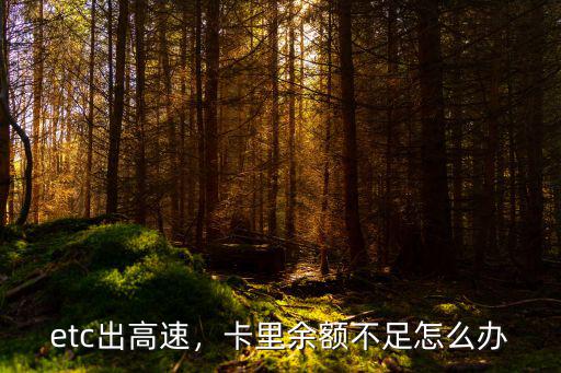 湖北儲值卡費不足上高速怎么辦,卡里余額不足怎么辦
