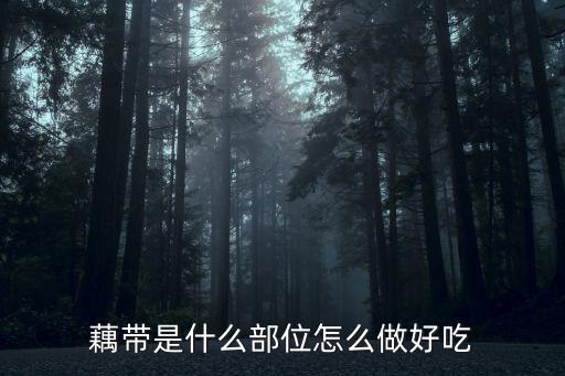 藕帶是什么部位怎么做好吃