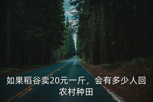 如果稻谷賣20元一斤，會有多少人回農村種田