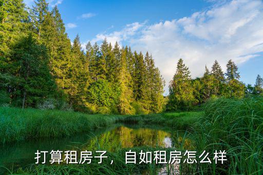 打算租房子，自如租房怎么樣