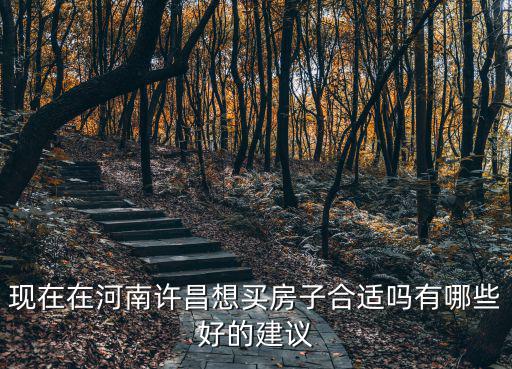 現(xiàn)在在河南許昌想買房子合適嗎有哪些好的建議