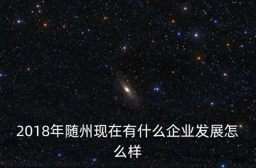 2018年隨州現在有什么企業發展怎么樣
