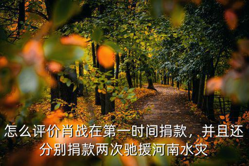 怎么評(píng)價(jià)肖戰(zhàn)在第一時(shí)間捐款，并且還分別捐款兩次馳援河南水災(zāi)