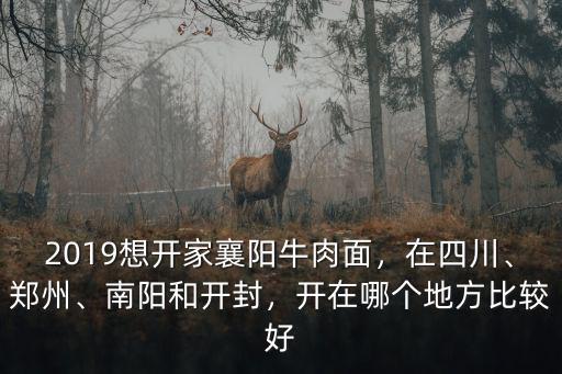 2019想開家襄陽(yáng)牛肉面，在四川、鄭州、南陽(yáng)和開封，開在哪個(gè)地方比較好