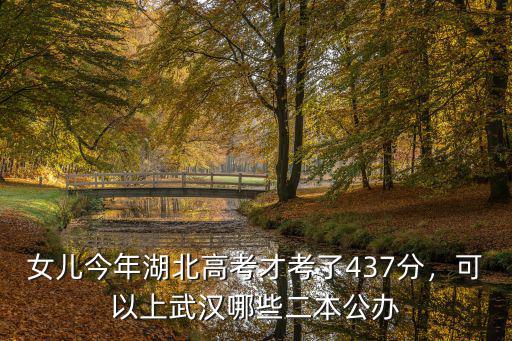 在武漢考了二本怎么辦,可以上武漢哪些二本公辦