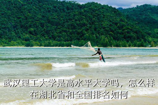 武漢理工大學(xué)是高水平大學(xué)嗎，怎么樣在湖北省和全國排名如何