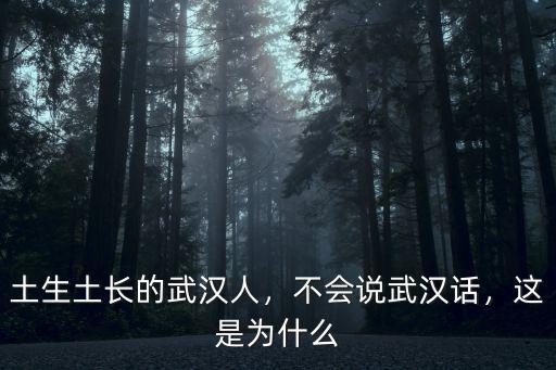 土生土長(zhǎng)的武漢人，不會(huì)說(shuō)武漢話，這是為什么