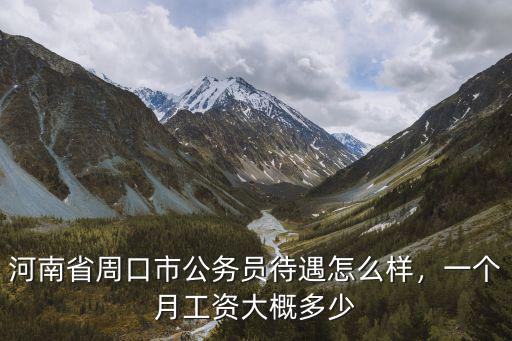 周口專員工資一月多少,一個月工資大概多少