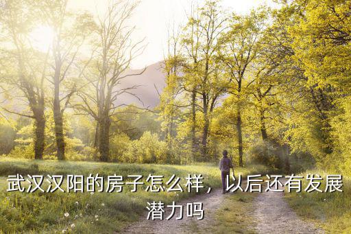 武漢漢陽的房子怎么樣，以后還有發展潛力嗎