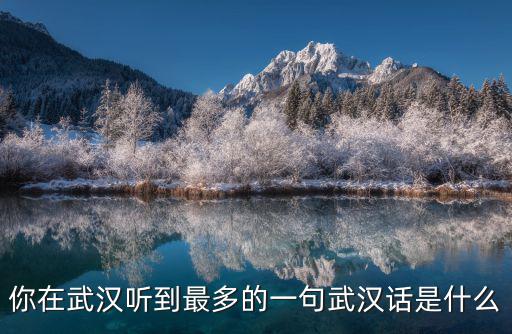 你在武漢聽(tīng)到最多的一句武漢話是什么