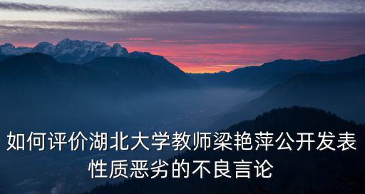 湖北大學(xué)梁艷萍是怎么回事,湖北大學(xué)教師梁艷萍