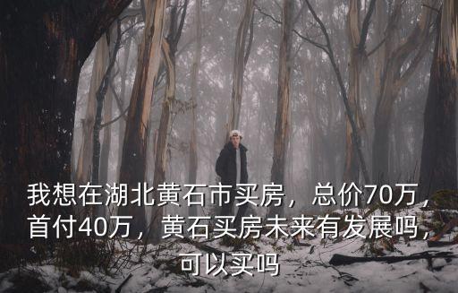 黃石未來房價怎么樣,黃石買房未來有發展嗎