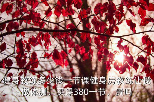健身教練多少錢一節課健身房教練讓我做體測，買課380一節，貴嗎