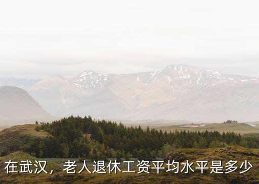在武漢，老人退休工資平均水平是多少