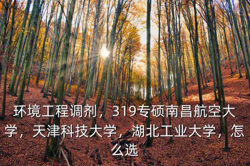 環(huán)境工程調(diào)劑，319專(zhuān)碩南昌航空大學(xué)，天津科技大學(xué)，湖北工業(yè)大學(xué)，怎么選