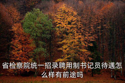 十堰中院聘用制書記員工資怎么樣,聘用制書記員好嗎