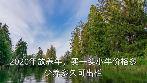 濮陽小牛多少錢一小時,小牛多少錢一頭