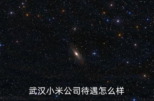 武漢小米公司待遇怎么樣